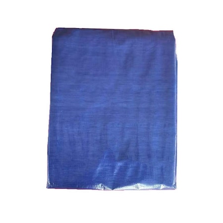 True Guard 12 ft x 16 ft Tarp, Blue 100785